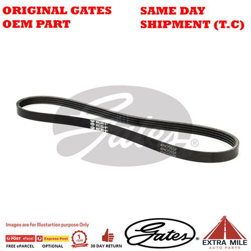 4PK705SF V-Ribbed Belt for FORD Focus MGDA 2.0 Petrol