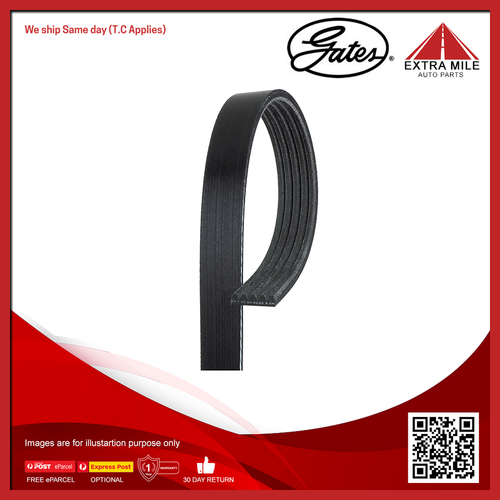 Gates V-Ribbed Belt For Audi A4 B8,8K5 4.2L RS4 quattro CFSA Wagon