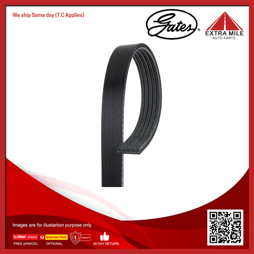 Gates V-Ribbed Belt For Ford Focus LV, LS, LT 2.5L RS, SR5 Turbo JZDA,HYDA