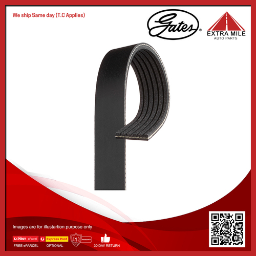 Gates V-Ribbed Belt For Volkswagen Golf MKVII,BA5,BV5,BX5,BX6,5G1,BQ1,BE1 1.4L