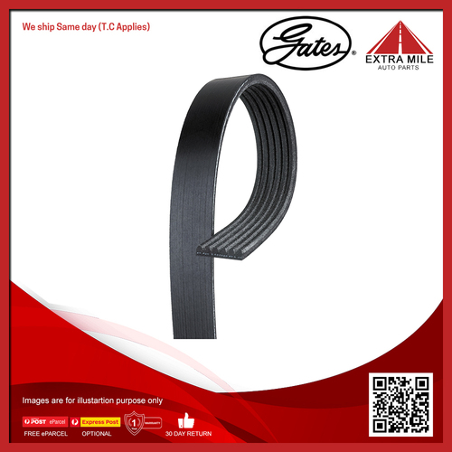 Gates V-Ribbed Belt For Audi A3 8PA, 8P1 2.0L/1.9L TDI CFGB,CBBB,BMN,BXE,BKC,BLS