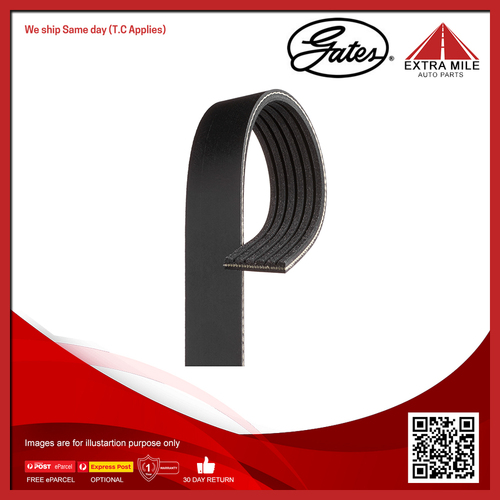 Gates V-Ribbed Belt For Seat Cordoba 6K1,6K2 1.6L ABU,AEE,ALM Sedan