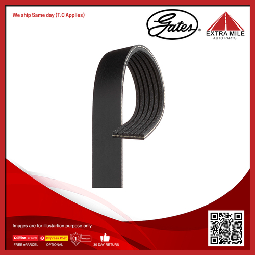 Gates V-Ribbed Belt For FPV F6X SY 4.0L F6X 4WD BARRA 270T SUV