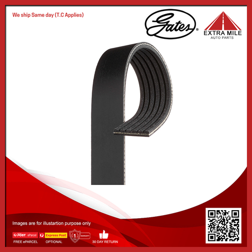 Gates V-Ribbed Belt For Holden Statesman WH 3.8L V6 L36(231CUV6) Sedan