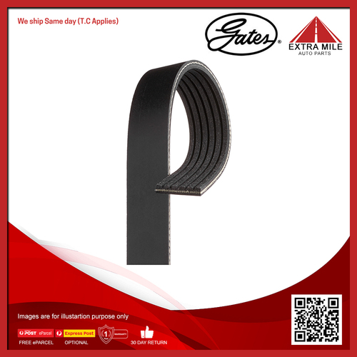 Gates V-Ribbed Belt For Volkswagen Golf MKV,1K1 1.9L/2.0L BLS,BKC, BXE, BKD, BMN