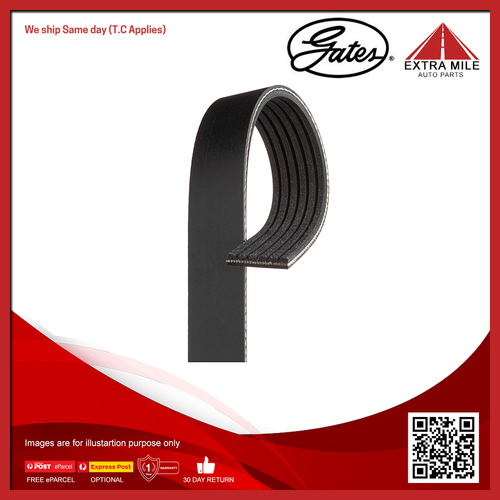 Gates V-Ribbed Belt For Jaguar S-Type X200 3.0L/2.5L V6 FB AJV6 ,FG AJV6,JB AJV6