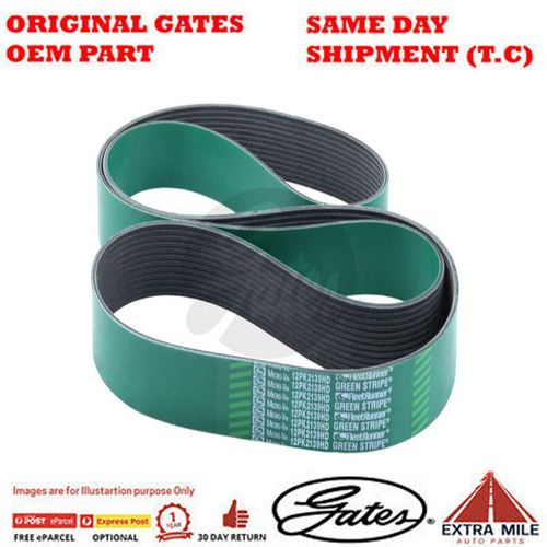 Gates V-Ribbed Belt - 8555-0032