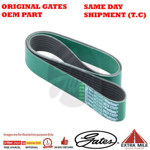 Gates V-Ribbed Belt - 8555-0309