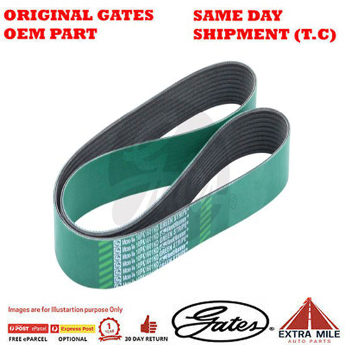 Gates V-Ribbed Belt - 8555-0449