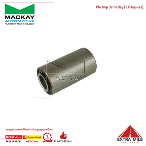 Mackay Shackle Bush  - S284