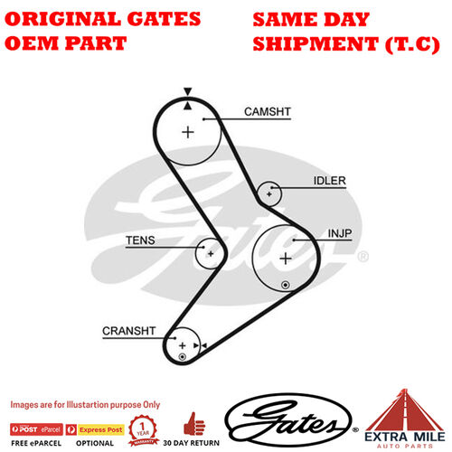 Timing Belt T1555 for PEUGEOT Boxer ZCPWCB