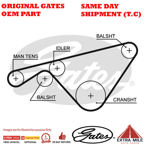 Timing Belt T293 for PORSCHE 944 95MN45